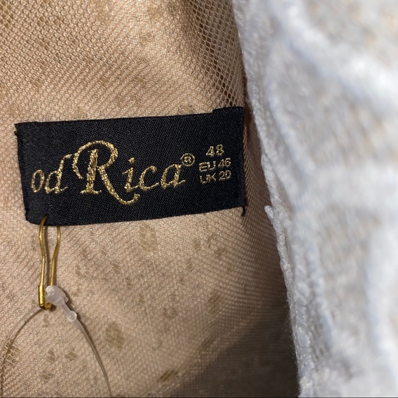 NEW Od Rica Silver Champagne Crystal Sparkling Rhinestone Wedding Evening Dress - Picture 8 of 16